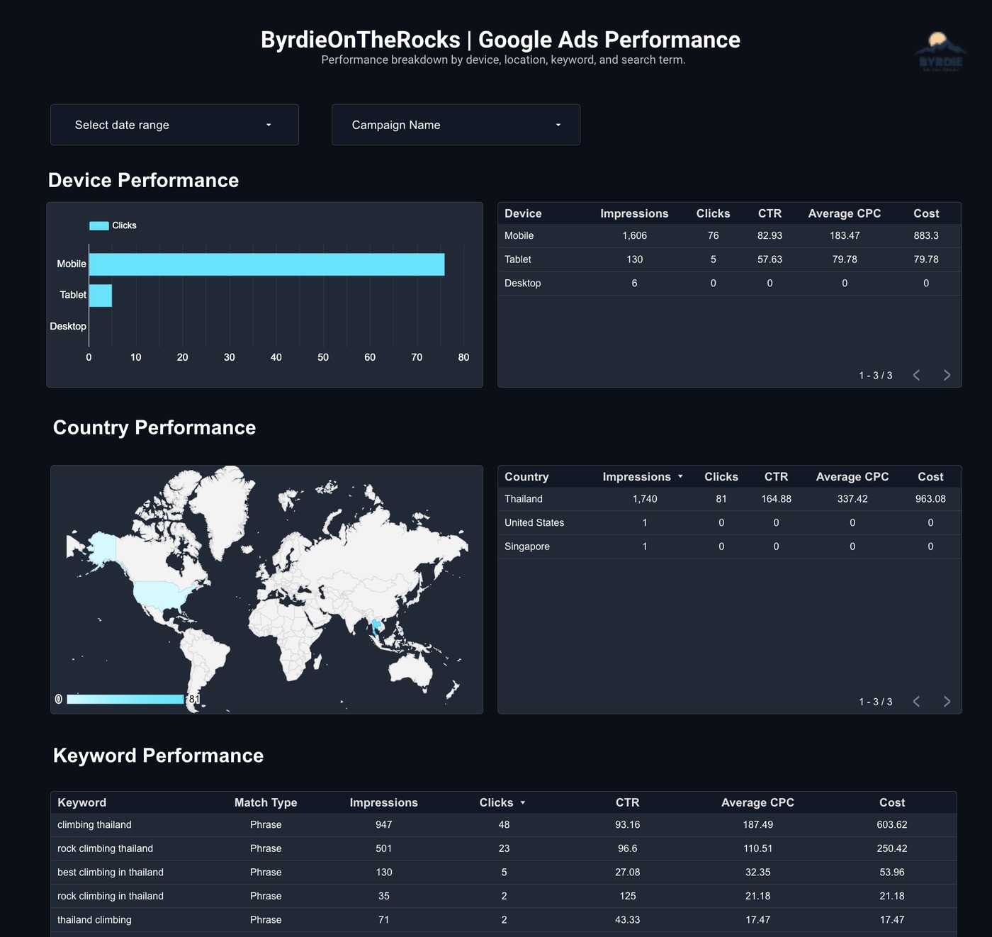 Google Ads campaign overview dashboard